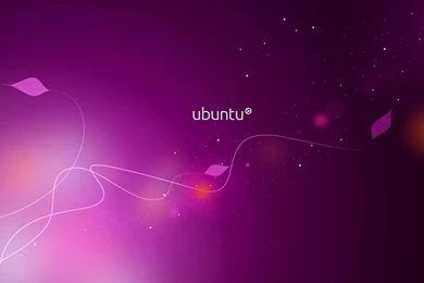 Brands Wallpaper: Linux Ubuntu Iphone Wallpapers For Desktop   From ...