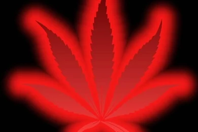 Marijuana Screensavers And Wallpapers