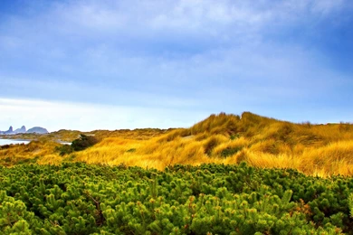 Nature, Hot, Beautiful, Wallpapers, Screensaver (