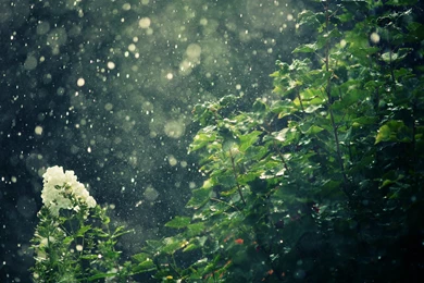 23 Summer Rain Lovely Colorful Boats In Rain Rain Beautiful Scene ...