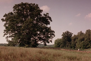 Shawshank Redemption : Wallpapers