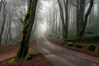 The Road 1920x1080 Wallpapers, 1920x1080 Wallpapers & Pictures ...