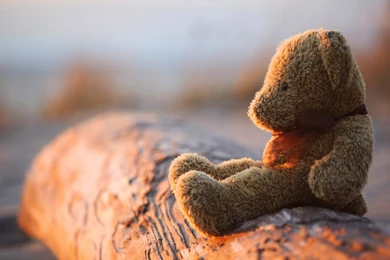 Lonely Teddy Bear Wallpapers