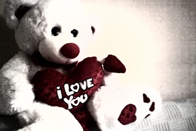 Love Teddy Bear Wallpapers