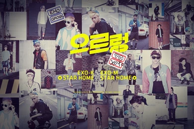 130805/PIC] EXO Official Website Background Images – Growl