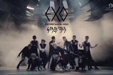 Are You A New EXOtic? Facts You Wish You Knew About EXO : News ...