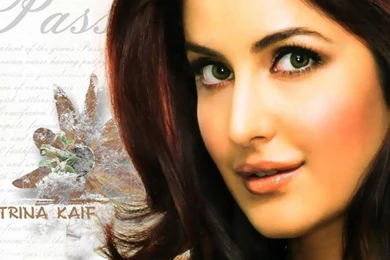 Wallpapers Katrina Kaif The Named Bollywood Actress 1366x768 ...