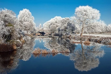 Winter Beautiful Rime Scenery Wallpapers 11 － Landscape Wallpapers ...