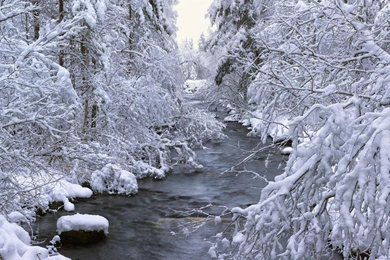 Beautiful Winter Scene Wallpapers   (