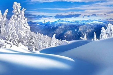 Winter Beautiful Rime Scenery Wallpapers 6 － Landscape Wallpapers ...