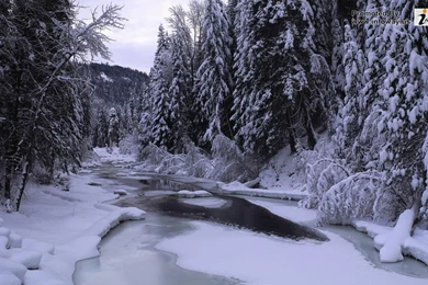 Beautiful Landscape Scenery   Photo 251 Of 395