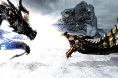 Download Dragons Fight Wallpapers 1680x1050