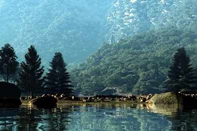 New Beach And Seashell Msi Wind Asus Eee PC Nj Wallpapers