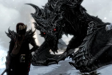 UESP Forums • View Topic   The Skyrim Photographer's Guild