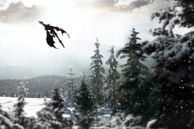 Browsing Wallpapers On DeviantArt