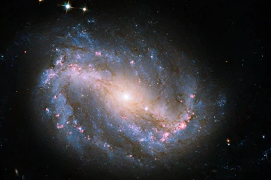 Barred Spiral Galaxy   (