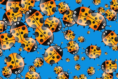 Cartoon Ladybug Wallpapers Free Stock Photo   Public Domain Pictures