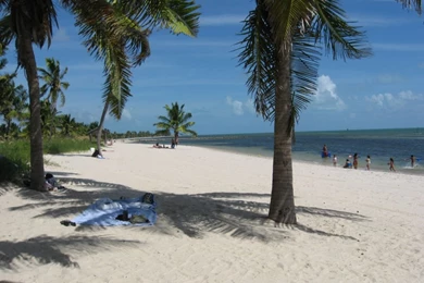 Key West Beach Pictures Wallpapers HD Fine