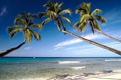 Beach Free 1920x1200px → High Quality Wallpapers