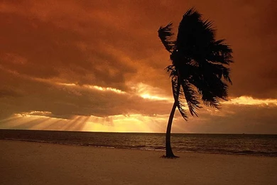 Natur Wallpapers Vom Sonnenuntergang