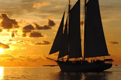 Davi Freitas   Google+