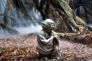 Photo 25 Of 45, The Empire Strikes Back