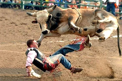 Bull Riding Wallpapers   Wallpapers Cave