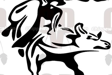 Top Beer With Bull Logo Wallpapers