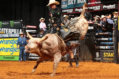 Picture For > Pbr Bull Riding Wallpapers