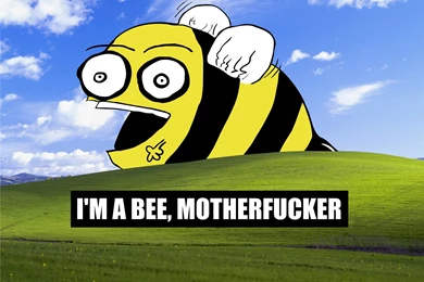 Funny Windows Desktop Backgrounds   Wallpapers Cave