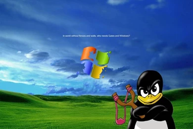 Linux Wallpaper…..funny