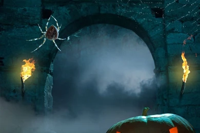 Popular Halloween Pumpkin Backgrounds Buy Cheap Halloween Pumpkin ...