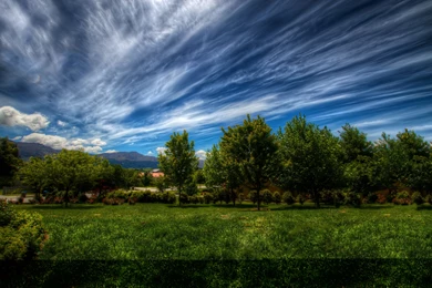 High Resolution Wallpapers 761