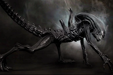 Alien Backgrounds   Wallpapers Cave