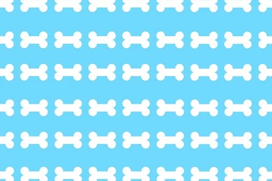 Pet, Backgrounds, Textures   Free Illustrations On Pixabay