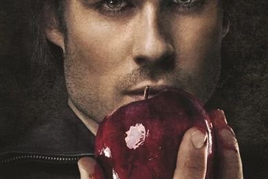 Damon Salvatore Ian Somerhalder Vampire Diaries