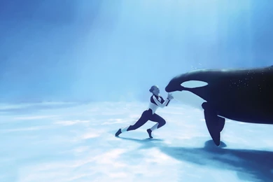 Awesome Orca Wallpapers