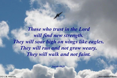 Free Desktop Wallpapers   Religious & Inspirational   6991 Wings ...