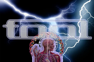 Tool Band