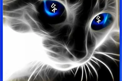 Funny Quotes About Kentucky Wildcats