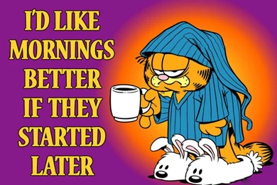 Garfield Morning Wallpapers 1024x768