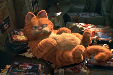 Garfield Facebook   Wallpaper.