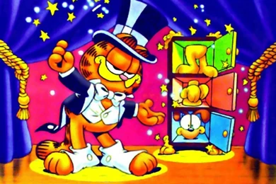 Wallpapers For Cartoon Garfield Wallpapers