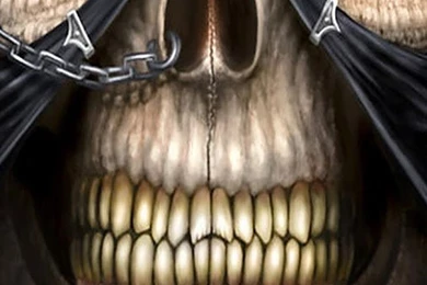 Skulls Live Wallpapers App Ranking And Store Data