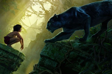 9 The Jungle Book HD Wallpapers