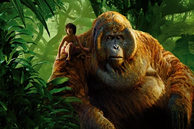 Mowgli King Louie Jungle Book Wallpapers