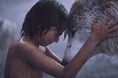 Amazing 4K 2016 Jungle Book Movie Wallpapers