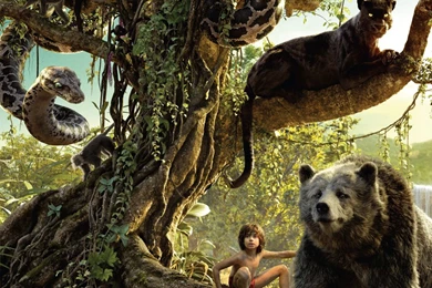 The Jungle Book HQ Movie Wallpapers