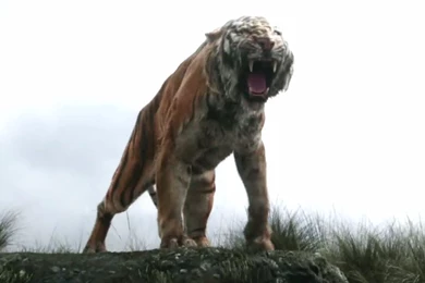 Launch Reveal 2016 Jungle Book Movie 4K Wallpapers