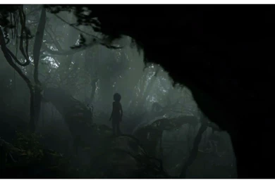 Release 4K 2016 Jungle Book Movie Wallpapers